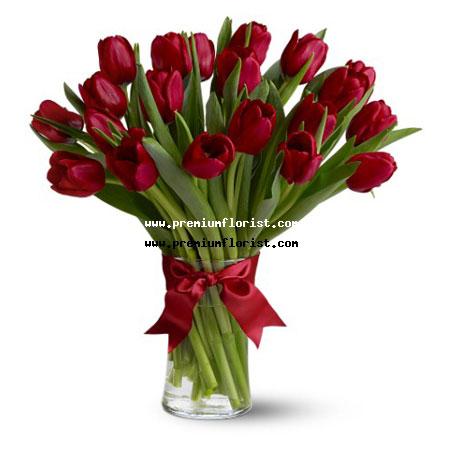 Tulipanes Premium en Panama, Panama | Florerias Panama | Flores Para Panama