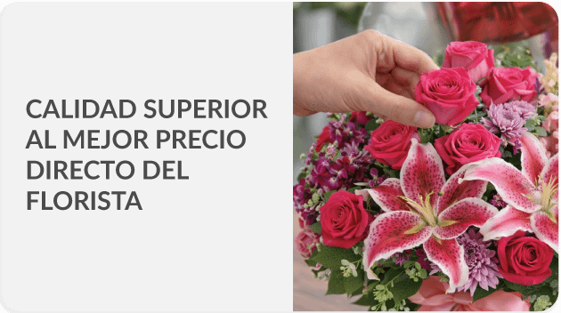 Envía a todo Panamá