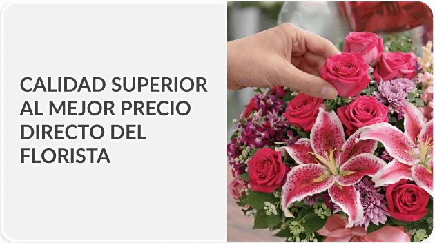 Envía a todo Panamá
