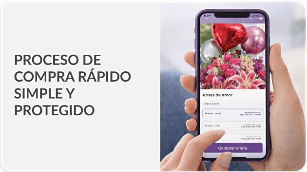 Envío en menos de 2 horas a Panamá - Flores Para Panama